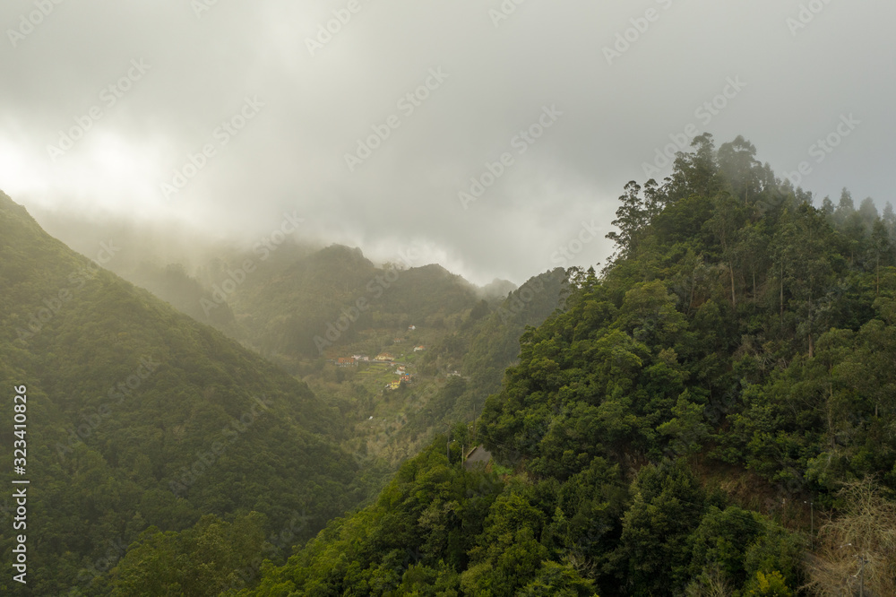 Madeira Wald 