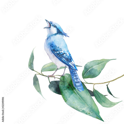 Isolated spring artwork: bird and tree branch. Clip art for greeting design. Watercolor botanical illustration photo