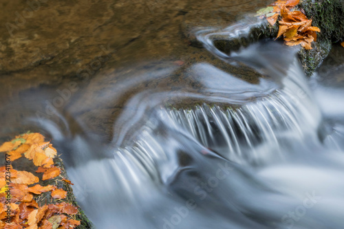 water flowing  with golden leaves around it