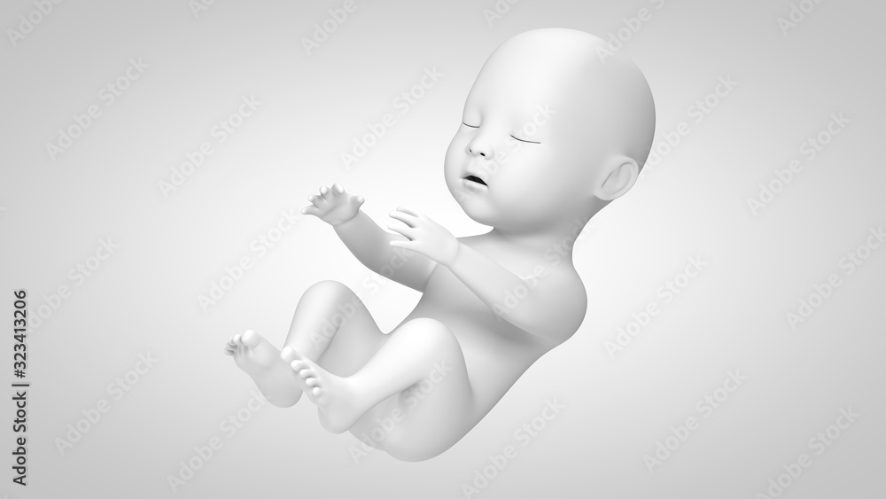 3D illustration of abstract unborn baby on clean background. 3D illustration of abstract unborn baby on clean background.