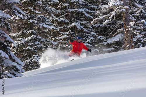 Freeride skier rides over off-piste slope in snow capped forest. Skier enjoying a deep powder turn. skier in a bright red suit. Good powder day. Funny skiing. Beautiful snowy forest.