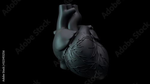 Fototapeta kuchenna 3D illustration of human heart on clean background