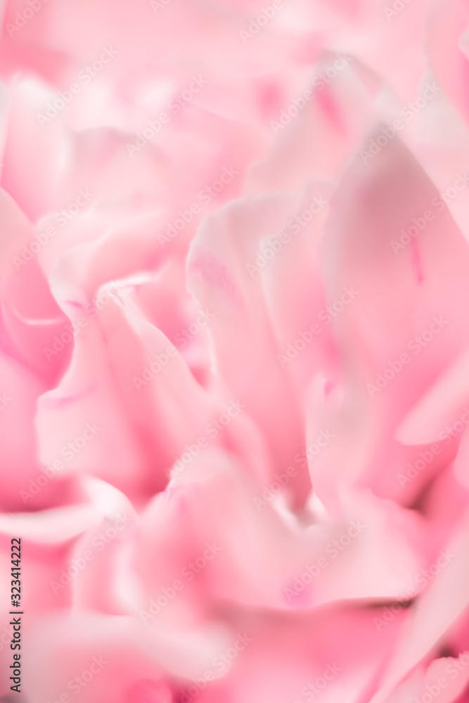 Fototapeta premium Defocused wallpaper for smartphone. Colorful blurred background with macro flowers.