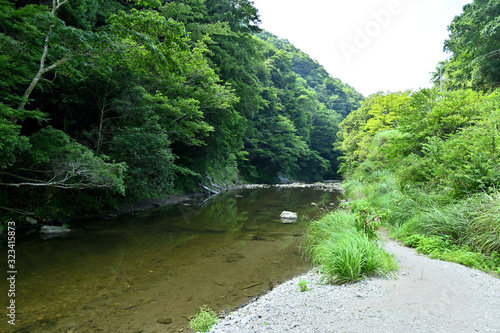 千葉の小川