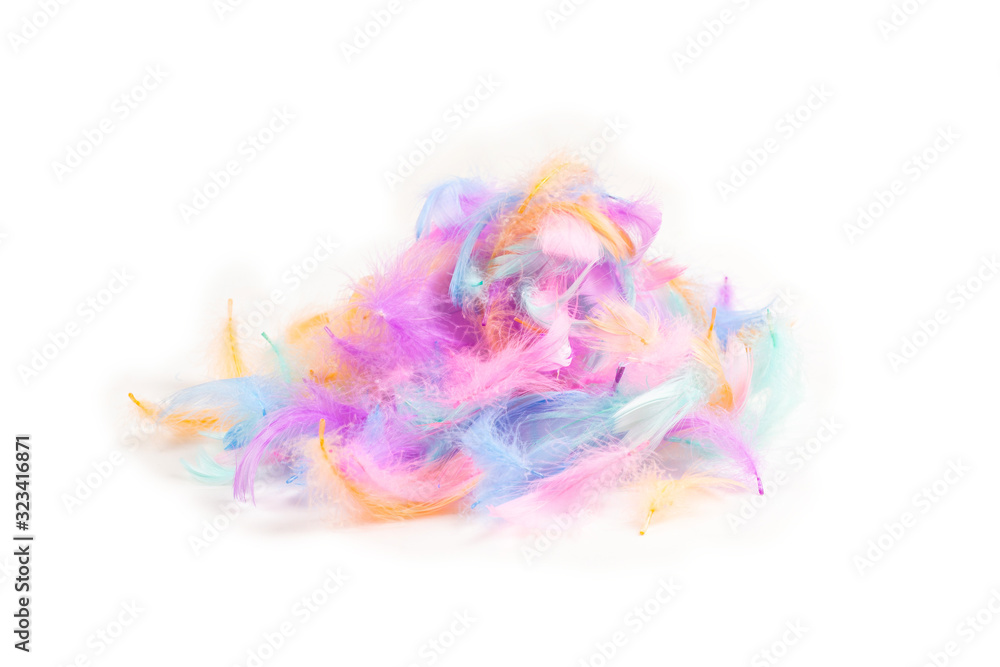 Fototapeta premium Colorful feather background, isolated on white.