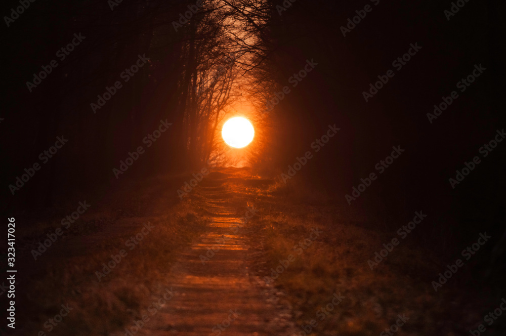 Fototapeta premium droga bo słońca