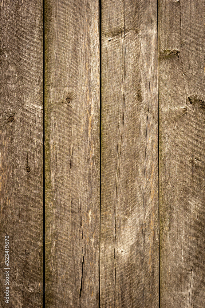 Fototapeta premium The old wood texture with natural patterns