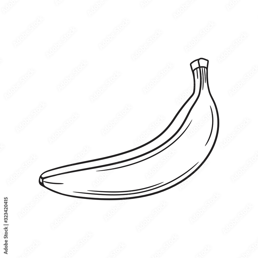 Banana sketch. Hand drawn fruit illustration. Banana sketch. Hand drawn fruit illustration.