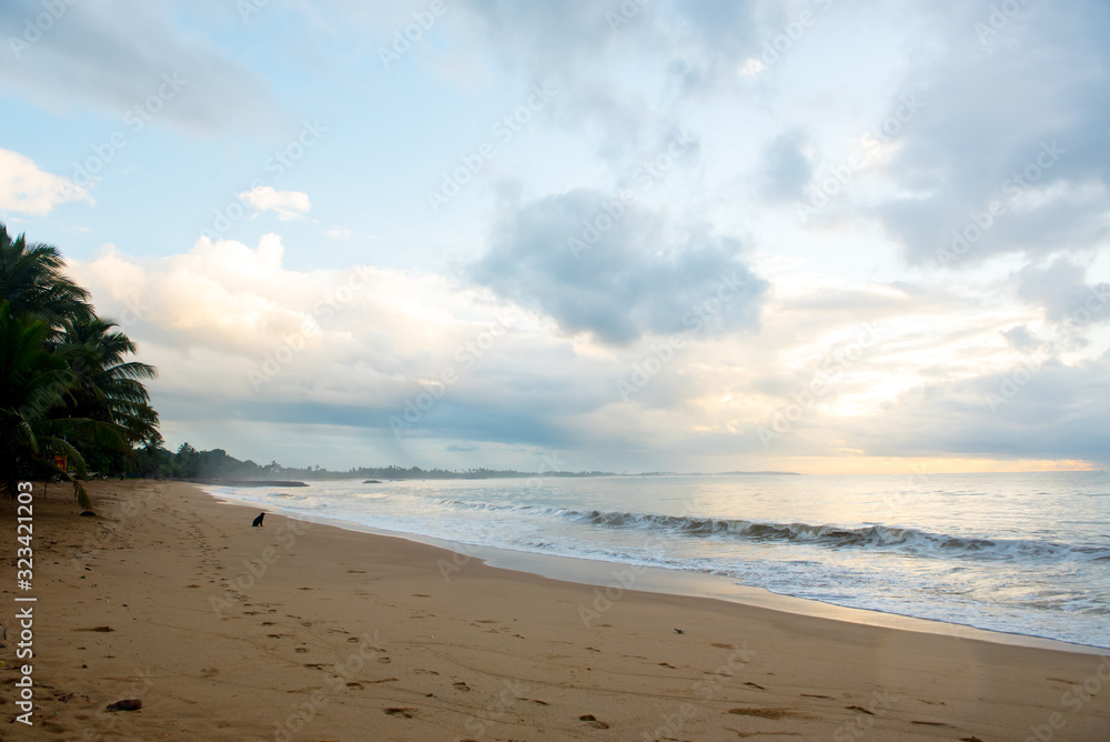 Sunset in the beach of Tangalle, Sri Lanka. Sunset in the beach of Tangalle, Sri Lanka.