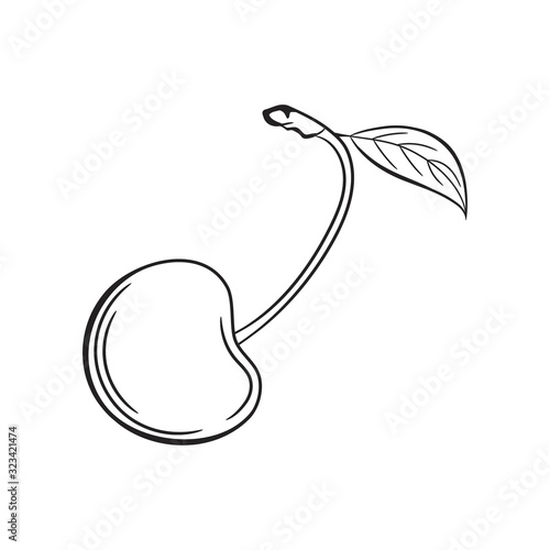 Quadro su tela Cherry sketch. Hand drawn fruit illustration.