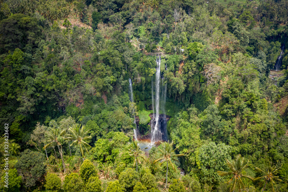 aerial overhead shot of waterfall in evergreen thick rainforest jungle