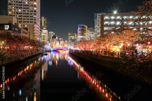 神奈川県 横浜市 大岡川沿いの夜桜並木