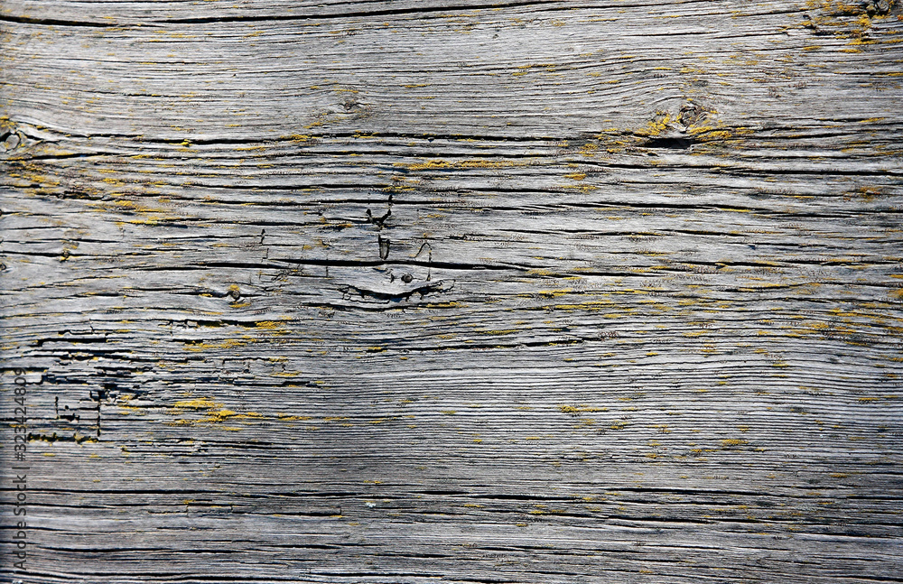 Naklejka premium texture of an old wooden board