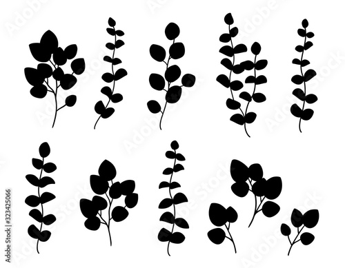 black branch with herb and plant leaves silhouettes