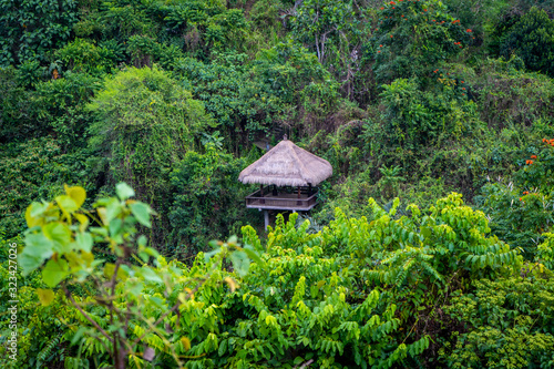 small wooden house in jungle © Denis Feldmann
