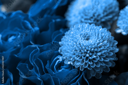 Fototapeta Naklejka Na Ścianę i Meble -  Bouquet of roses and chrysanthemums close up. Beautiful blue flower background. Floral backdrop. 