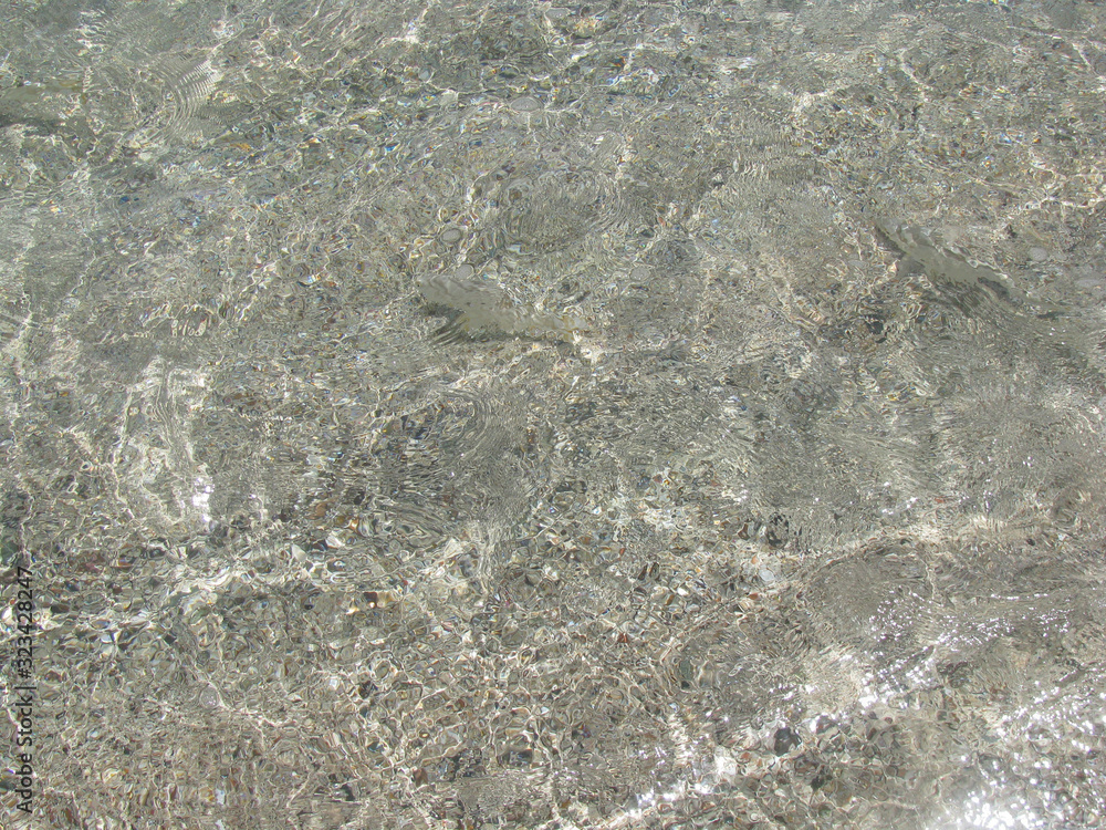 Obraz premium abstract natural background small fishes in coastal water on a background of sand in the Red Sea