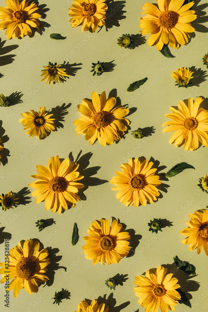 Floral composition with yellow daisy flower buds pattern texture background. Flatlay, top view. Floral composition with yellow daisy flower buds pattern texture background. Flatlay, top view.