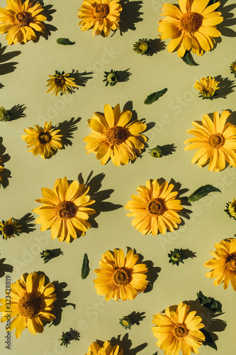 Floral composition with yellow daisy flower buds pattern texture background. Flatlay, top view.