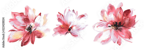 Flowers watercolor illustration.Manual composition.Big Set watercolor elements. photo