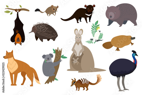 Australian animals, set of isolated cartoon characters kangaroo, koala and wombat, vector illustration. Wildlife animals of Australia, tasmanian devil, dingo dog, platypus and echidna. Isolated set