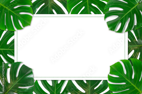 White paper with Monstera leaves frame on white background isolated © Krisda
