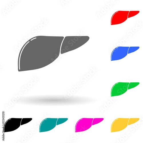 human liver multi color style icon. Simple glyph, flat vector of human parts icons for ui and ux, website or mobile application