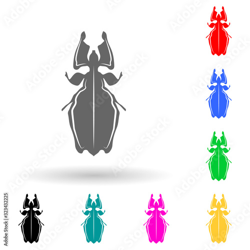 beetle multi color style icon. Simple glyph, flat vector of insect icons for ui and ux, website or mobile application © rashadaliyev