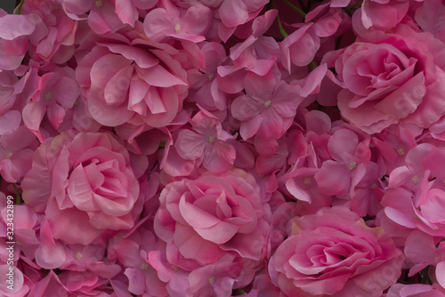 Dense artificial pink rose wall