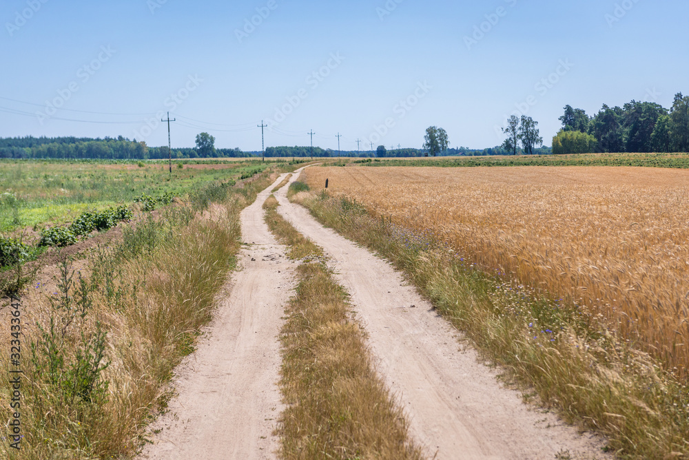 Dust road among fields near Drawsko town, West Pomerania region of Poland Dust road among fields near Drawsko town, West Pomerania region of Poland