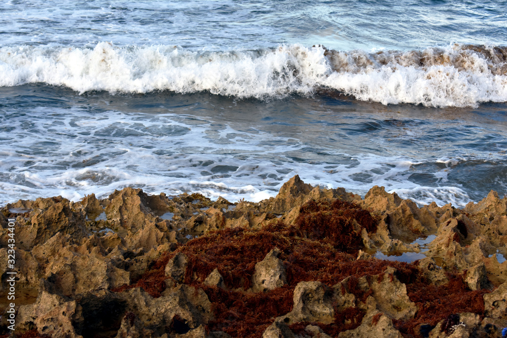 waves crashing on rocks waves crashing on rocks