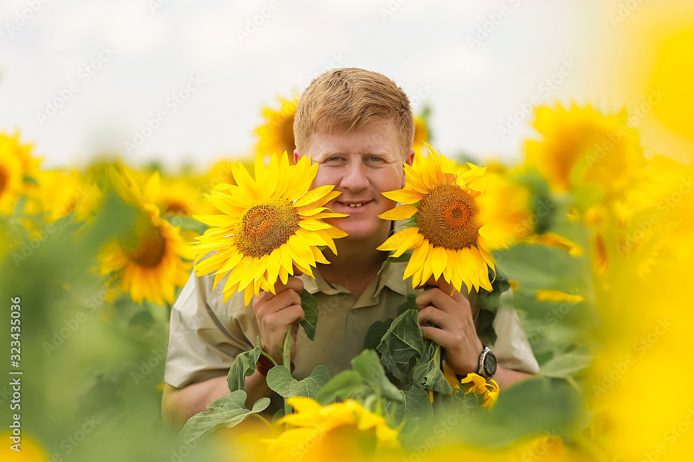 Smiling caucasian redhead man stands in the middle of yellow and green agriculture sunflower field and holds two sunflowers near his face. Summer romance theme. Smiling caucasian redhead man stands in the middle of yellow and green agriculture sunflower field and holds two sunflowers near his face. Summer romance theme.