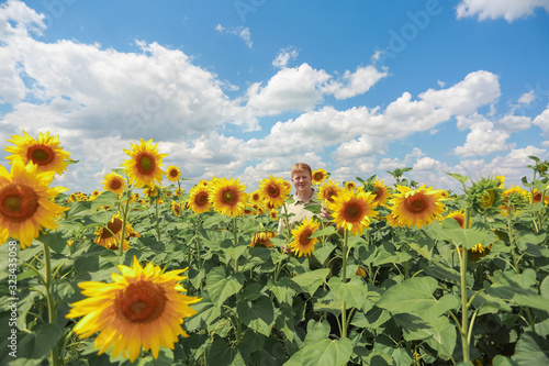 Caucasian redhead man in Sleeveless Beige Shirt stands in the middle of yellow and green agriculture sunflower field in sunny day. Theme of summer and agriculture.