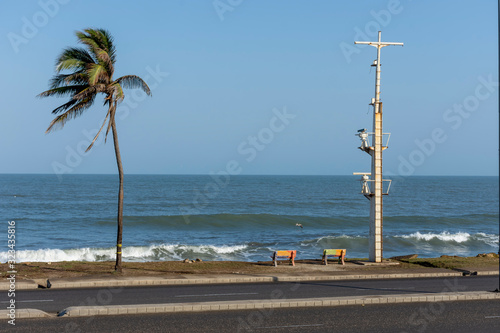 beach with palm trees and colored banks in cartagena colombia