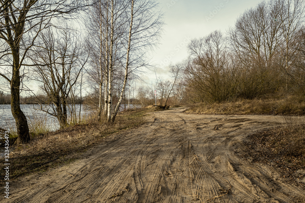 empty dirty gravel dirt road in forest empty dirty gravel dirt road in forest