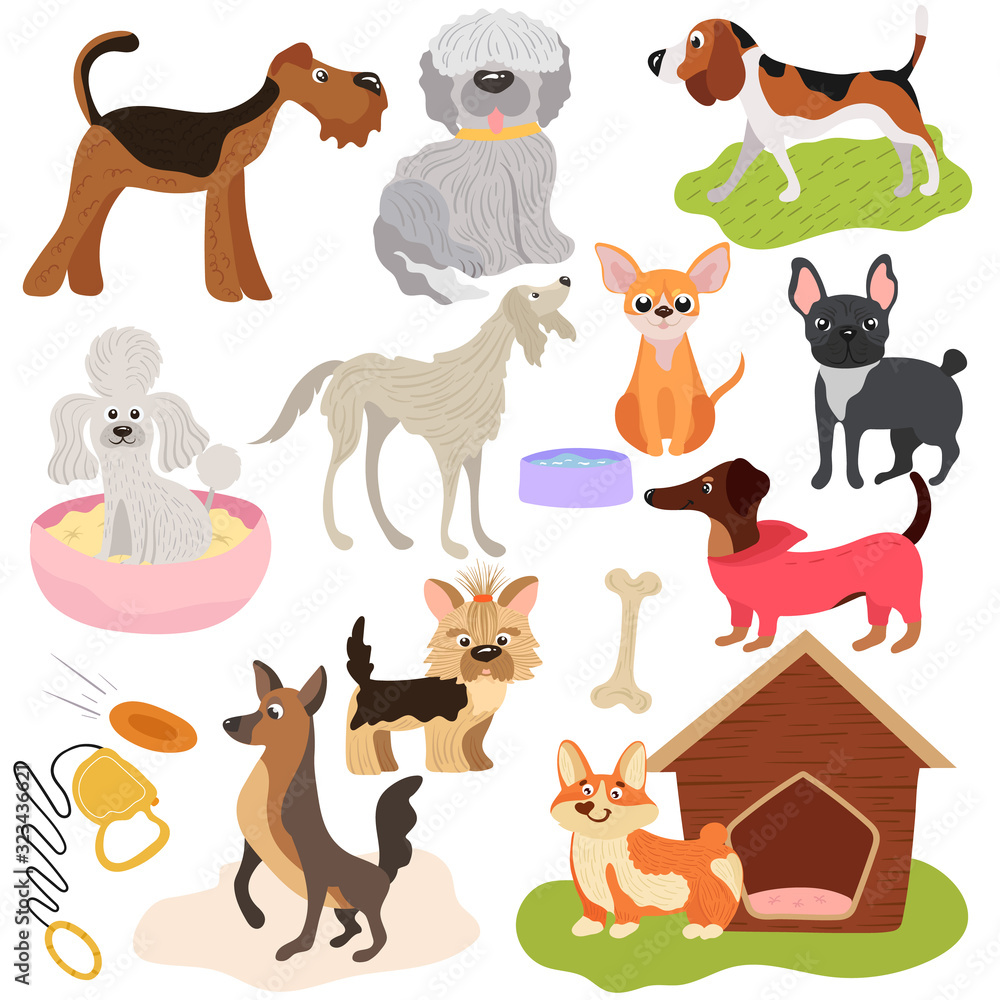 Fototapeta premium Dogs of different breeds, puppy set cute pets, vector illustration. Funny animals cartoon characters, playful puppy, toys and accessories for domestic pet. Various dogs, hound and terrier.
