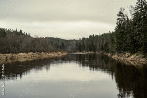 picturesque river in forest in autumn