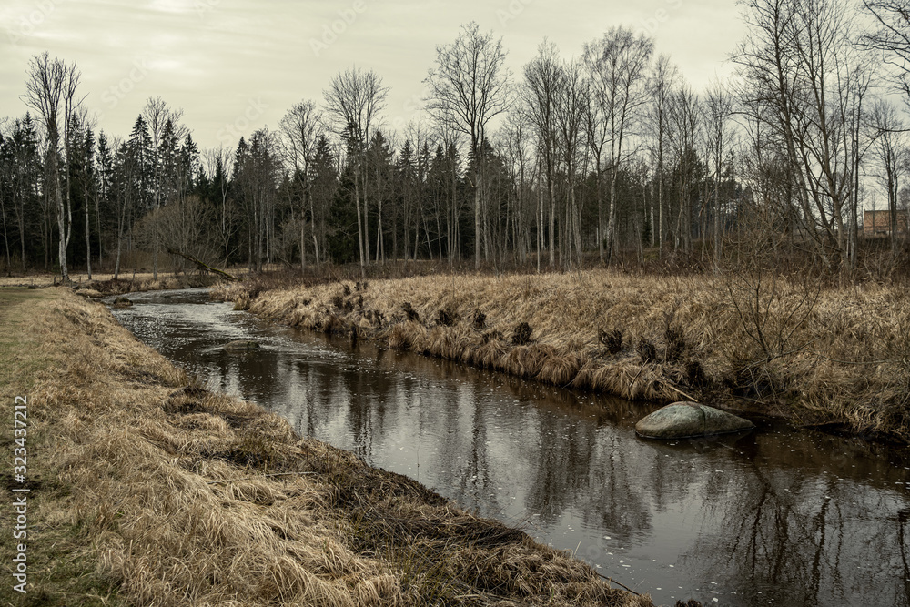 picturesque river in forest in autumn picturesque river in forest in autumn