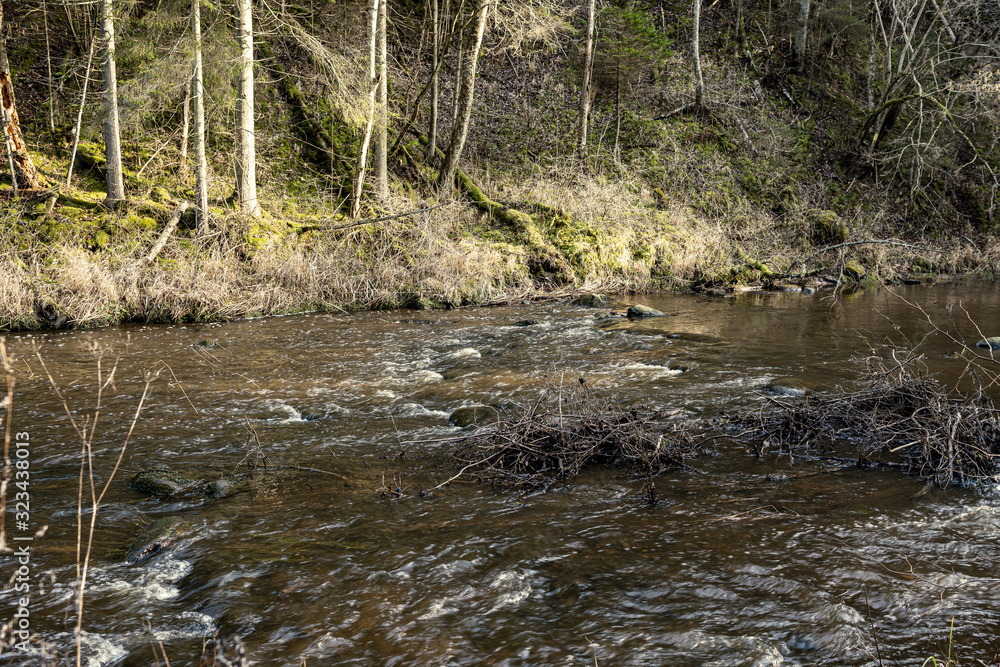 picturesque river in forest in autumn picturesque river in forest in autumn