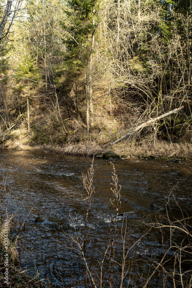 picturesque river in forest in autumn picturesque river in forest in autumn