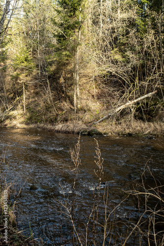 picturesque river in forest in autumn