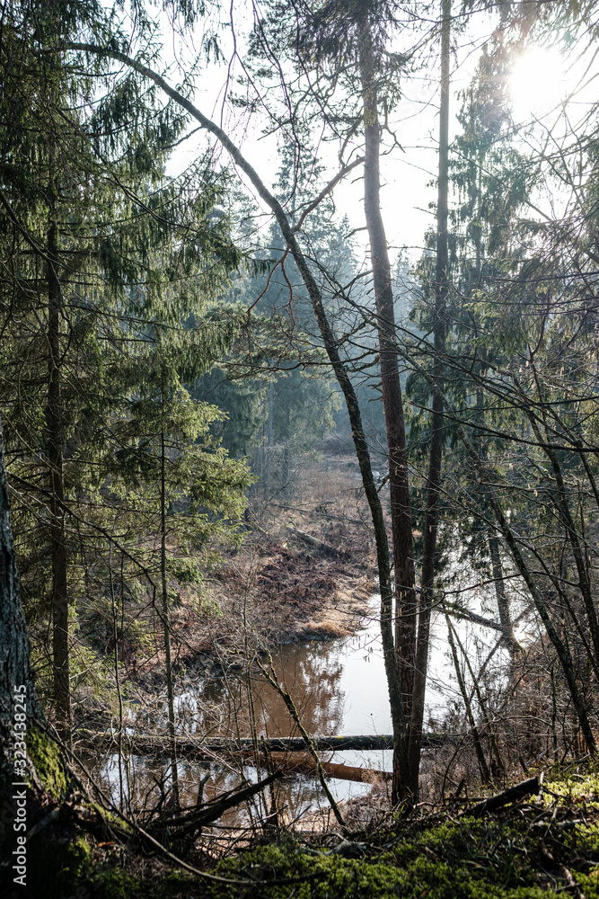 picturesque river in forest in autumn picturesque river in forest in autumn