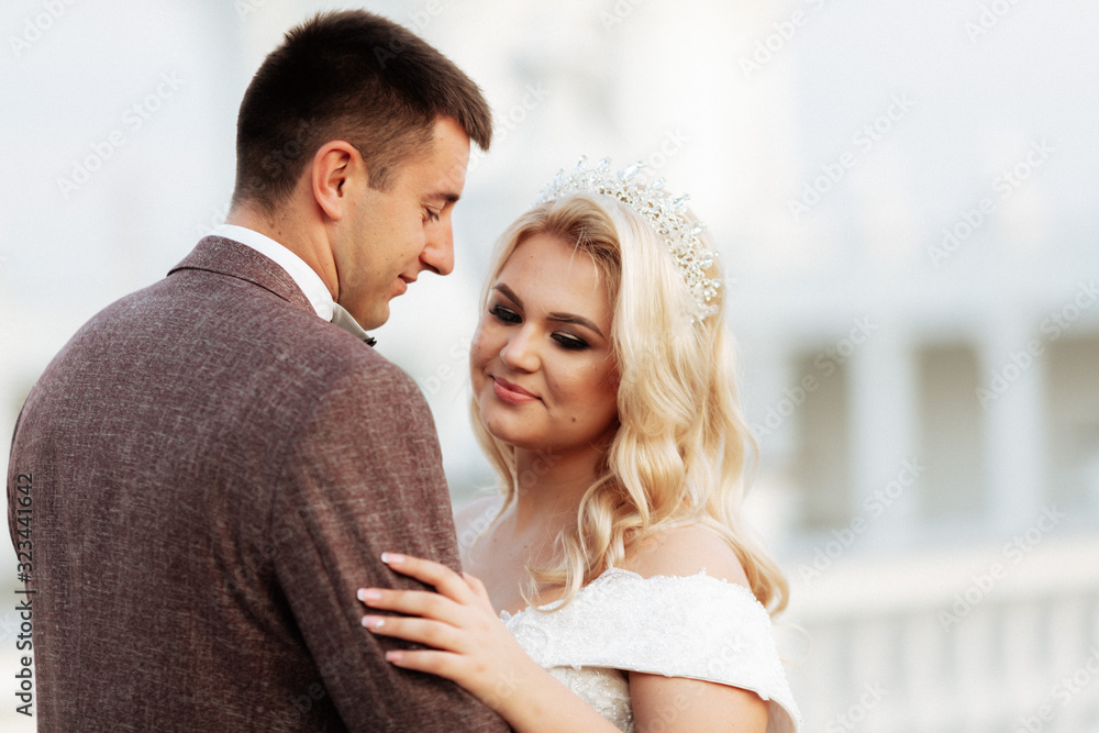 Wedding in the castle. Stylish and beautiful. Princess's dress. Lush white dress and veil. Bride is a brunette. The groom in a black suit. A couple is walking in the park on the castle grounds. Wedding in the castle. Stylish and beautiful. Princess's dress. Lush white dress and veil. Bride is a brunette. The groom in a black suit. A couple is walking in the park on the castle grounds.