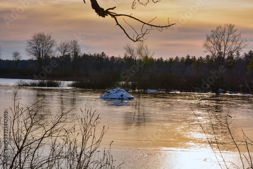beaver dam on Massabesic lake