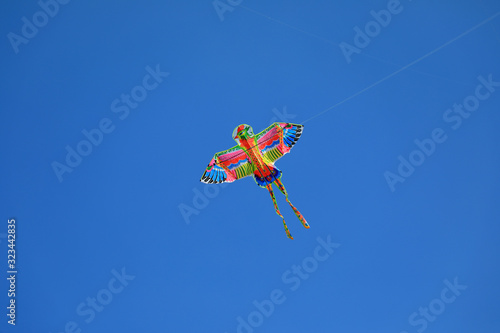 Kites are flying in the air