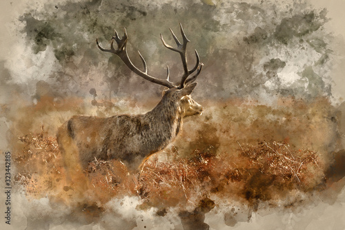 Digital watercolor painting...
