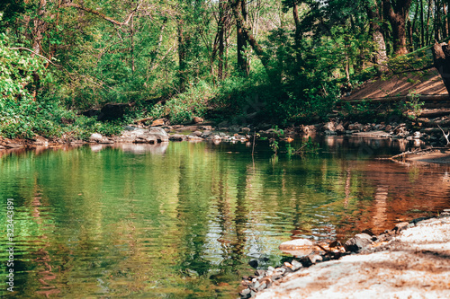 Fototapeta Naklejka Na Ścianę i Meble -  A Landscape Shot of a Small Creek