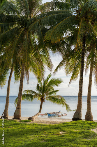 Fototapeta Naklejka Na Ścianę i Meble -  Siquijor island philippines white beach with balm trees coconut trees in the evening light, beautiful vacation swimming snorkeling relaxing	
