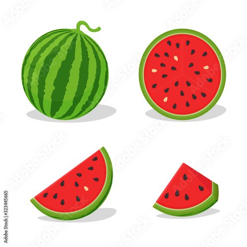 Vector halved red flesh watermelon. Watermelon is popular in the summer.