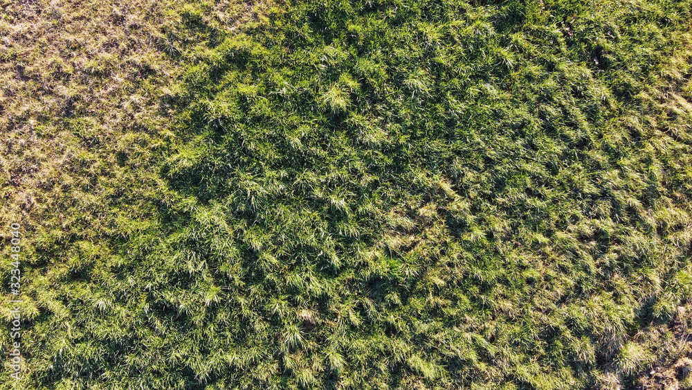 Top view of green grass Top view of green grass